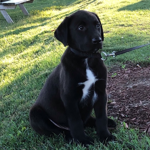 Meet your Posher, Susan - Picture 2 of 5